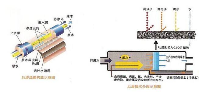 一体化反渗透超美女裸体视频APP
