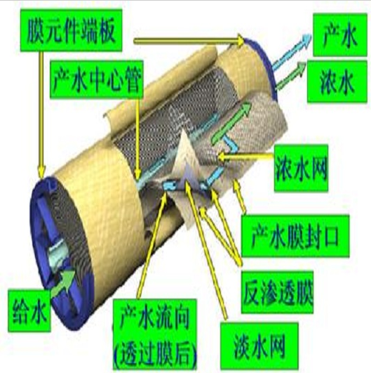 全自动工业超美女裸体视频APP
